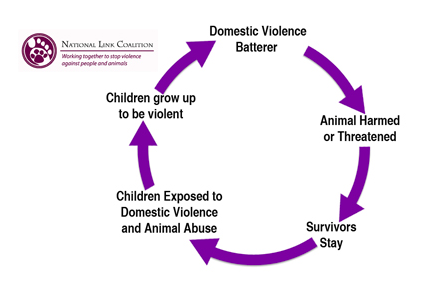 cycle of violence